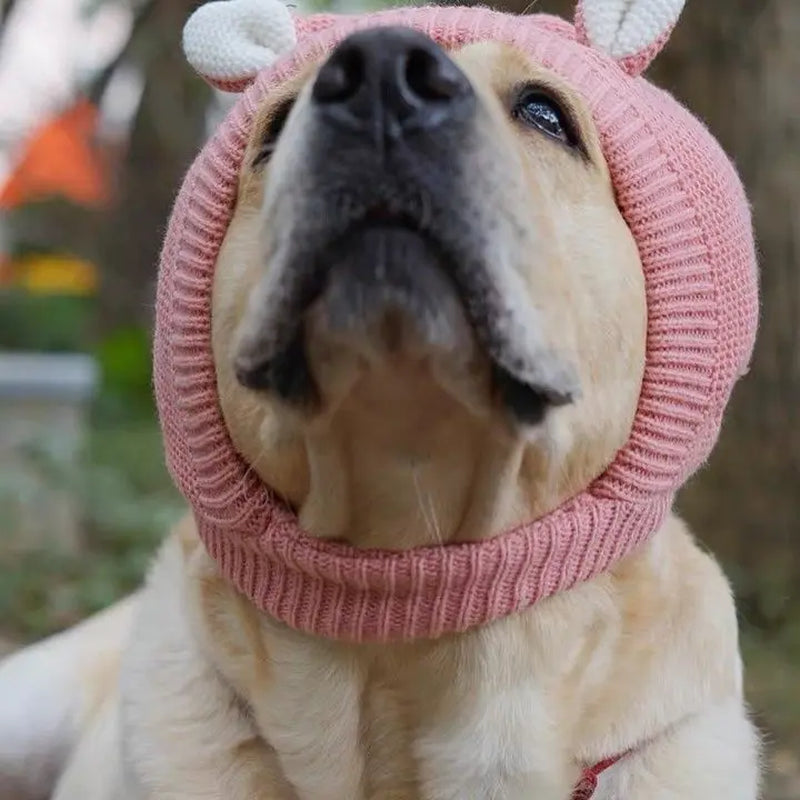 Winter Warm Dog Hat Ear Muffs Noise Protection Windproof Pet Ears Covers Knitted Earmuffs for Small Medium Puppy Accessories